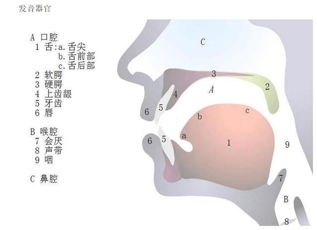 短位.jpg